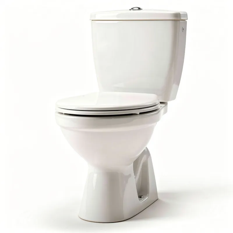 Remplacement de WC Bry-sur-Marne